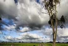 爽文男主，贡萨洛-加西亚从皇马首球到9号只用了半年时间，贡萨加大学怎么样2021