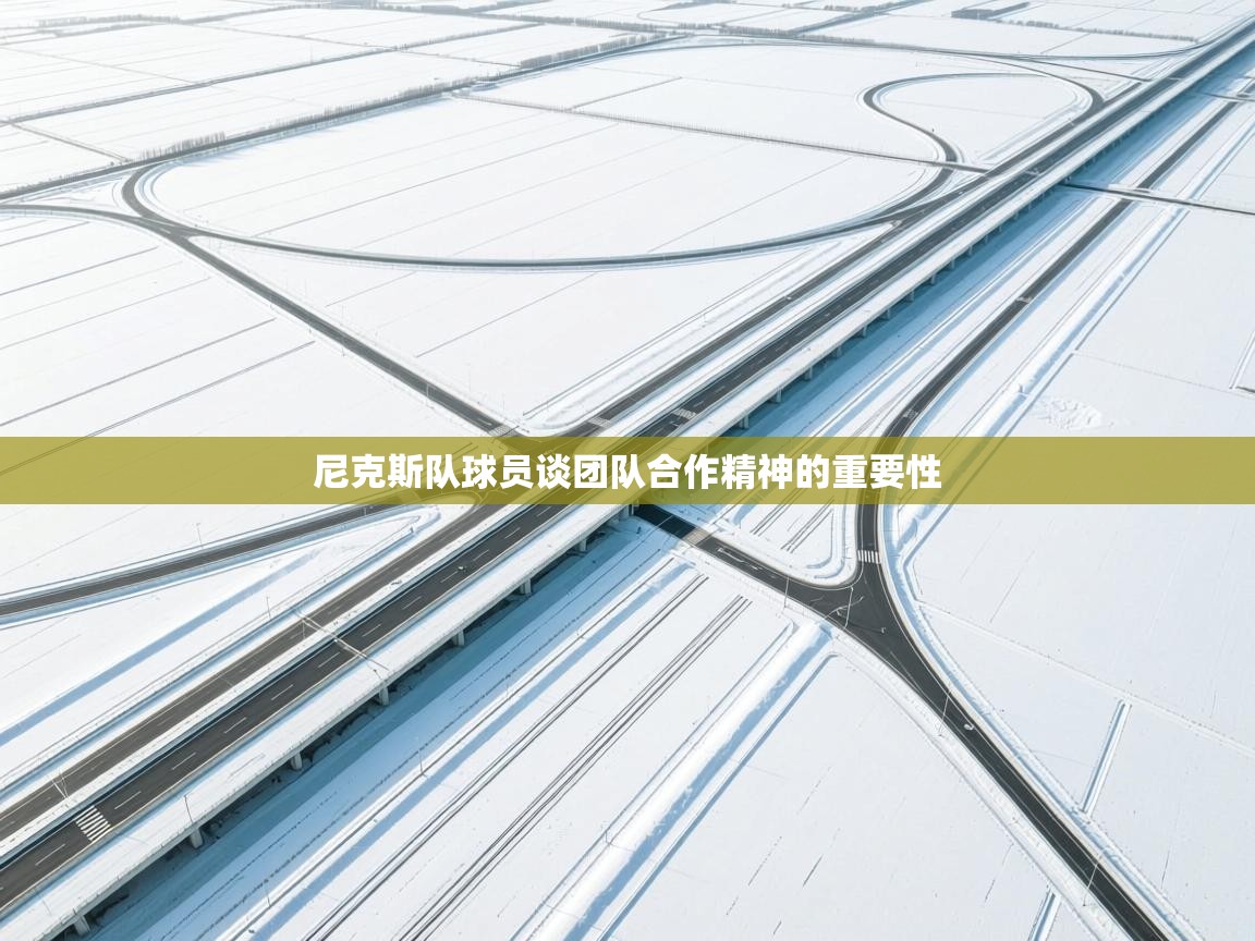 尼克斯队球员谈团队合作精神的重要性
