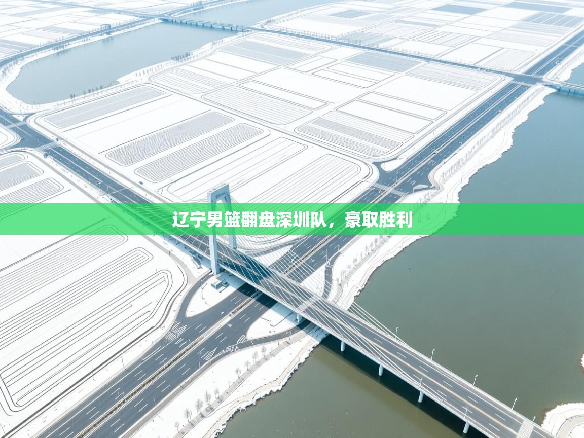 辽宁男篮翻盘深圳队，豪取胜利  第2张