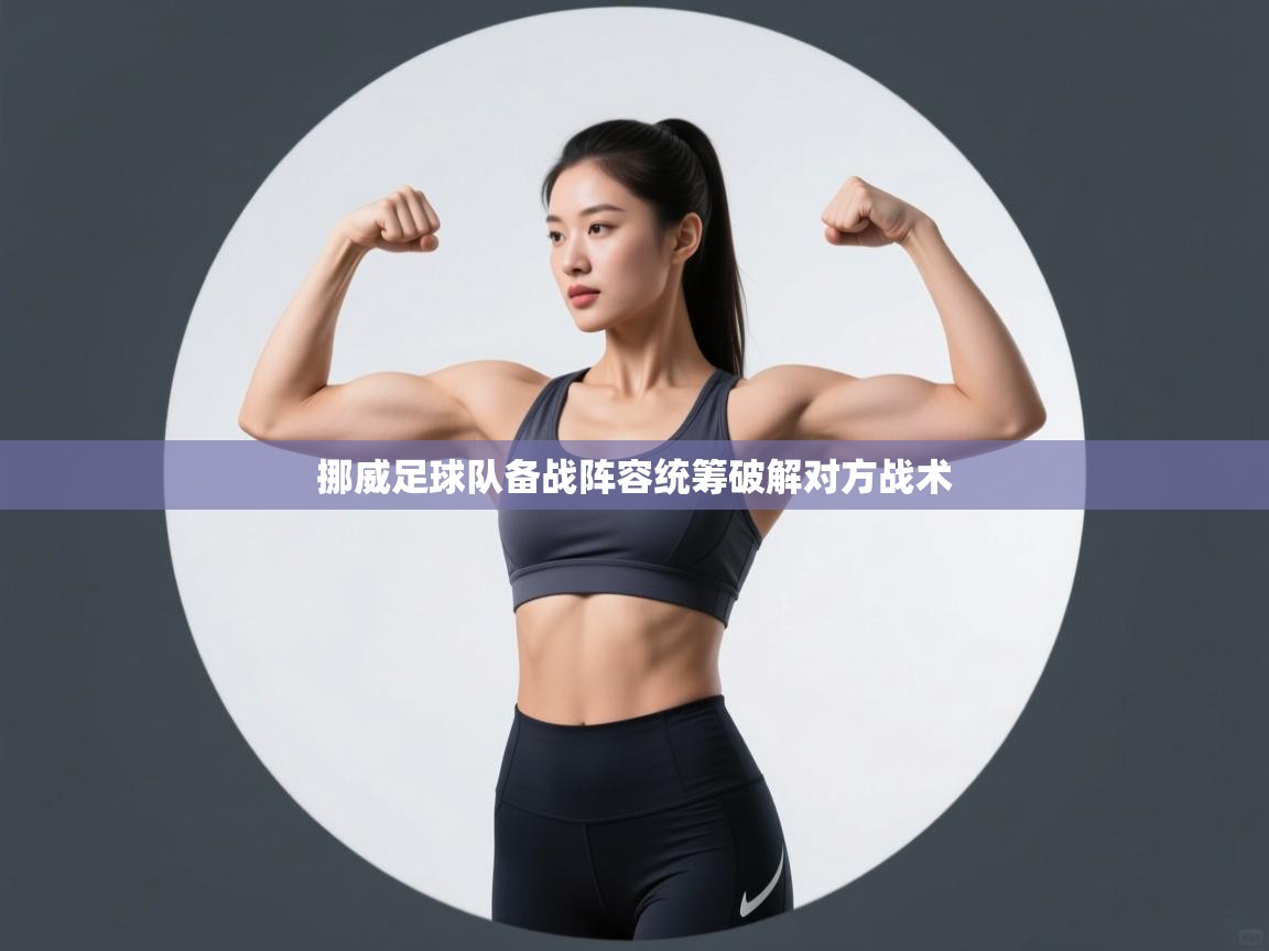 挪威足球队备战阵容统筹破解对方战术 第2张