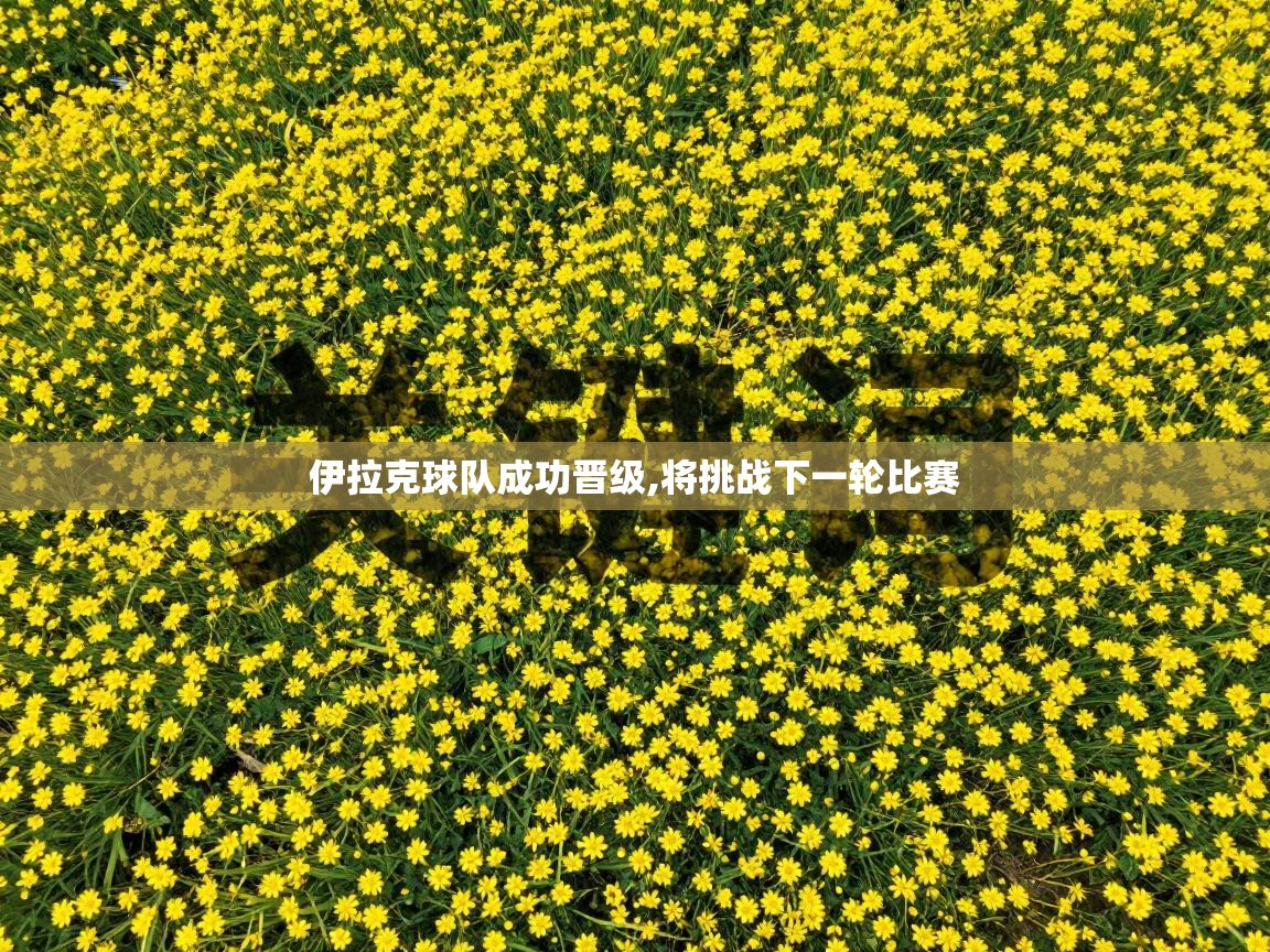 伊拉克球队成功晋级,将挑战下一轮比赛  第2张