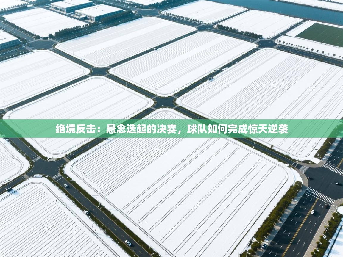 绝境反击：悬念迭起的决赛，球队如何完成惊天逆袭  第2张