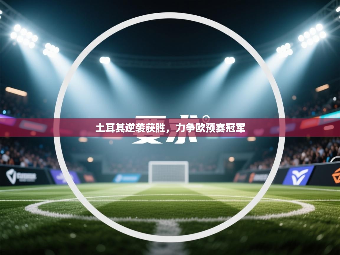 土耳其逆袭获胜,力争欧预赛冠军 第2张